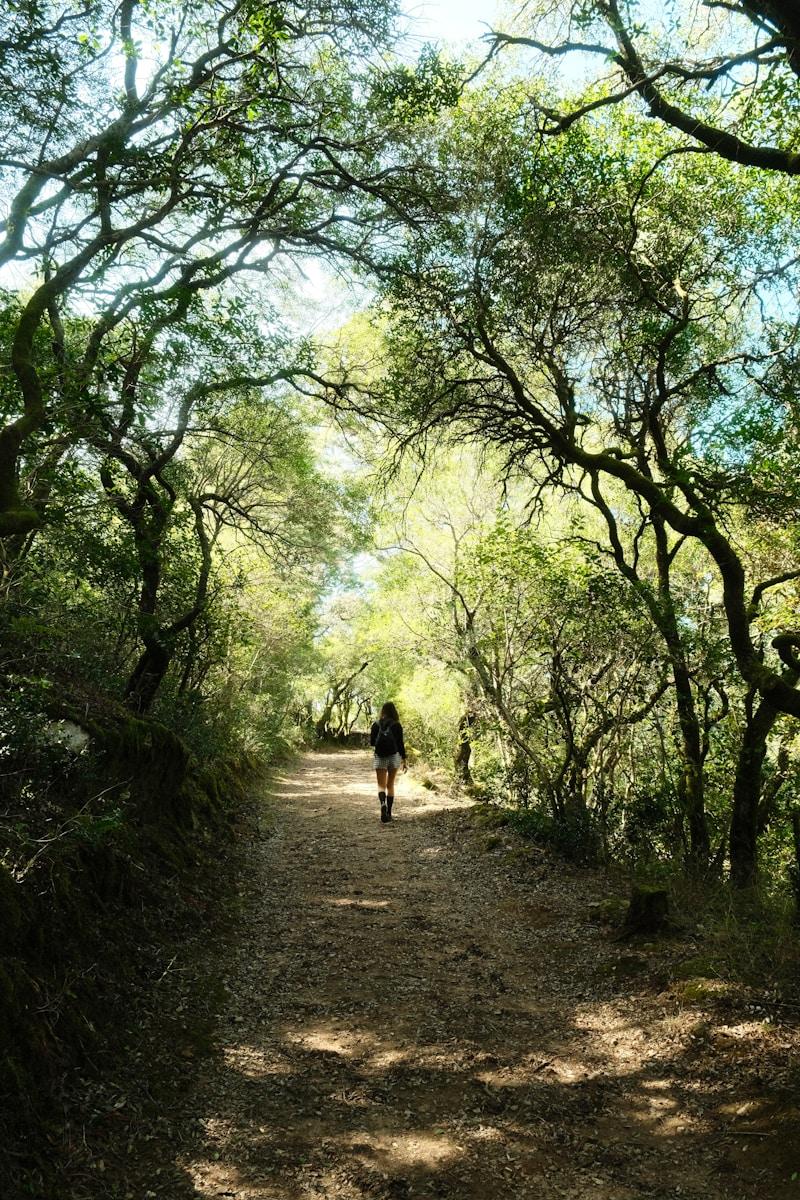 A person walking down a dirt road surrounded by trees