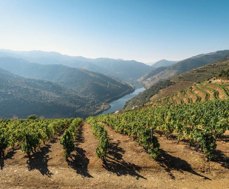 green trees on mountain under blue sky during daytime